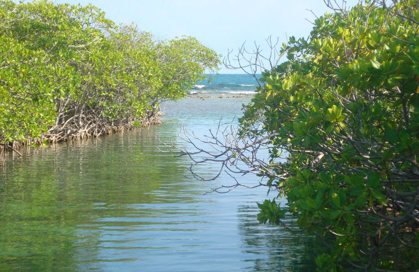 Cayo Matias , , Puerto Rico